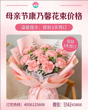 临汾浦县花店母亲节康乃馨花束
